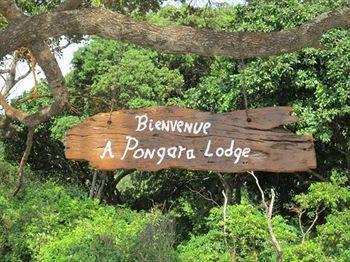 Pongara Lodge 리브르빌 외부 사진